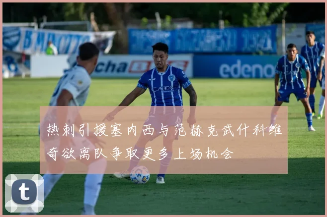 热刺引援塞内西与范赫克武什科维奇欲离队争取更多上场机会